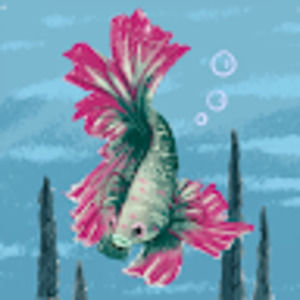 Meet your Posher, Bobbi